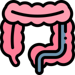 costo-cirujano-oncologo-colon-y-recto
