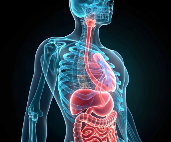 Especialista en cirugia de esofago